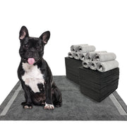 Dogcator emballage avant montrant 100 unités et praticité de stockage