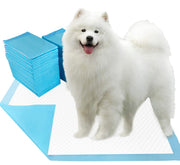 Dogcator emballage avant montrant quantité et dimensions, facile à stocker