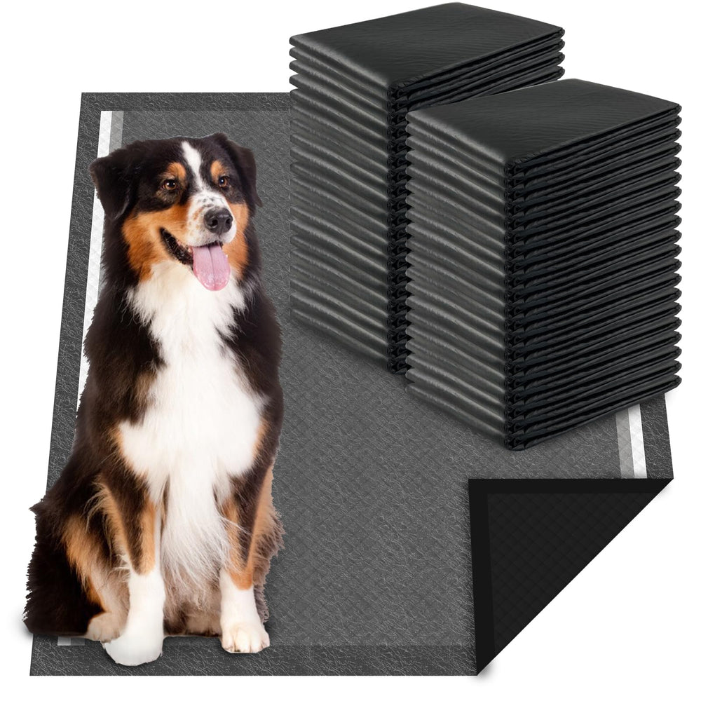 Dogcator emballage avant montrant 40 unités et avantages d’absorption