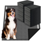 Dogcator emballage avant montrant 40 unités et avantages d’absorption