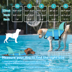 Dogcheer vue dos avec aileron requin attirant et look ludique