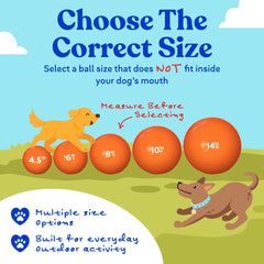 Doggie Dooley chien poussant la balle encourage activité physique guidée