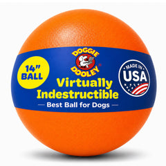 Doggie Dooley vue frontale de la balle orange, visibilité extérieure améliorée