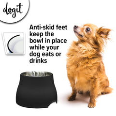 Dogit bol inox gros plan montrant propreté et sécurité hygiénique