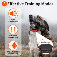 DOGLinsen récepteur gros plan sur pavé vibration pour confort animal