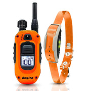 Dogtra 1900X orange face avant montrant design robuste et visibilité accrue