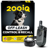 Dogtra 200iQ face avant montrant affichage et design, contrôle précis