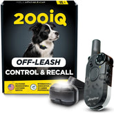 Dogtra 200iQ face avant montrant design compact et contrôle intuitif