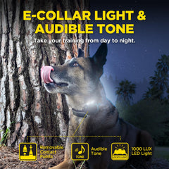 Dogtra lumière LED allumée pour visibilité nocturne et sécurité