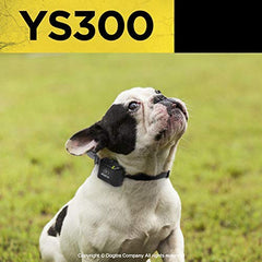 Dogtra YS300 à côté d'un objet pour comparaison de taille, léger pour chien
