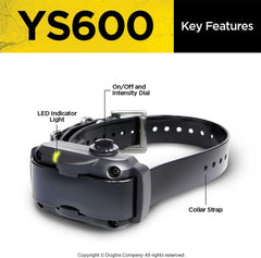 Dogtra YS600 collier porté par grand chien confort et maintien stable
