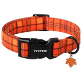 DOGWONG collier automne face montrant motif orange chaleureux et élégant