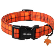 DOGWONG collier automne face montrant motif orange chaleureux et élégant