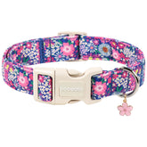 DOGWONG collier face avant montrant motif marguerite et style élégant