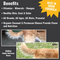 Dogzymes cuillère doseuse illustrant dosage simple et régulier