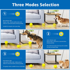 Dolita balle en action rebondissant et stimulant le chien pour exercice actif