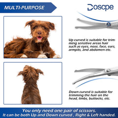 Doscpe ciseaux en action retouche visage chien sans risque
