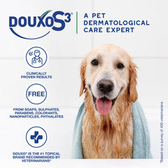 Douxo mousse application sur patte montrant absorption et confort