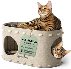 DownyPaws maison avant crème montrant refuge chaleureux