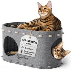 DownyPaws maison face gris clair montrant refuge compact et confortable