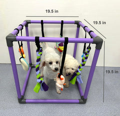DOZZOPET chiot joue au gym encourageant activité autonome