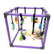 DOZZOPET gym devant posé montrant cadre et jouets pour stimulation
