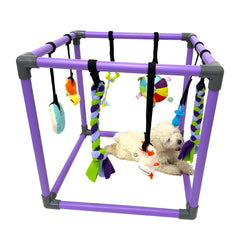 DOZZOPET gym devant posé montrant cadre et jouets pour stimulation