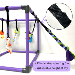 DOZZOPET structure PVC solide et arrondie pour sécurité du chiot