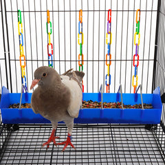DQITJ mangeoire en usage avec pigeons facilitant l'accès simultané