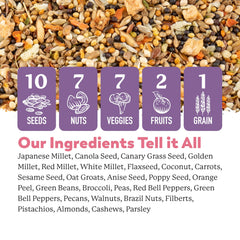 Dr. Harvey's texture des graines et noix pour une alimentation riche