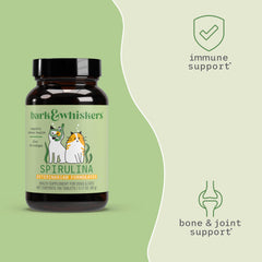 Dr. Mercola gros plan comprimé SpiruGreen montre texture bénéfique