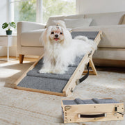 Drakthos rampe face complète montrant la pente sûre pour petits chiens
