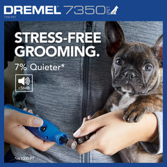 Dremel 7350-PET gros plan sur bande abrasive pour limage précis