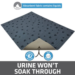 Drymate chat sortant du bac sur tapis montrant réduction des traces