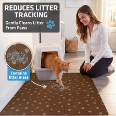 Drymate gros plan surface montrant texture attrapant la litière