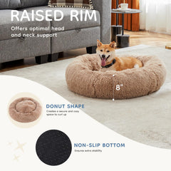 DUMOS chien allongé sur le lit illustrant apaisement et maintien