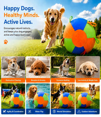 Duoyng chien poussant la balle pour exercice et stimulation mentale
