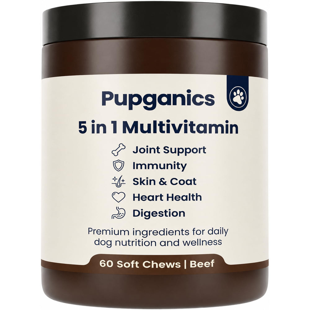 DYDUON Pupganics emballage avant présentant 60 bouchées et informations claires