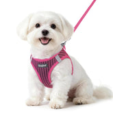 Eagloo harnais face avant affichant ajustement et style pour promenades confortables