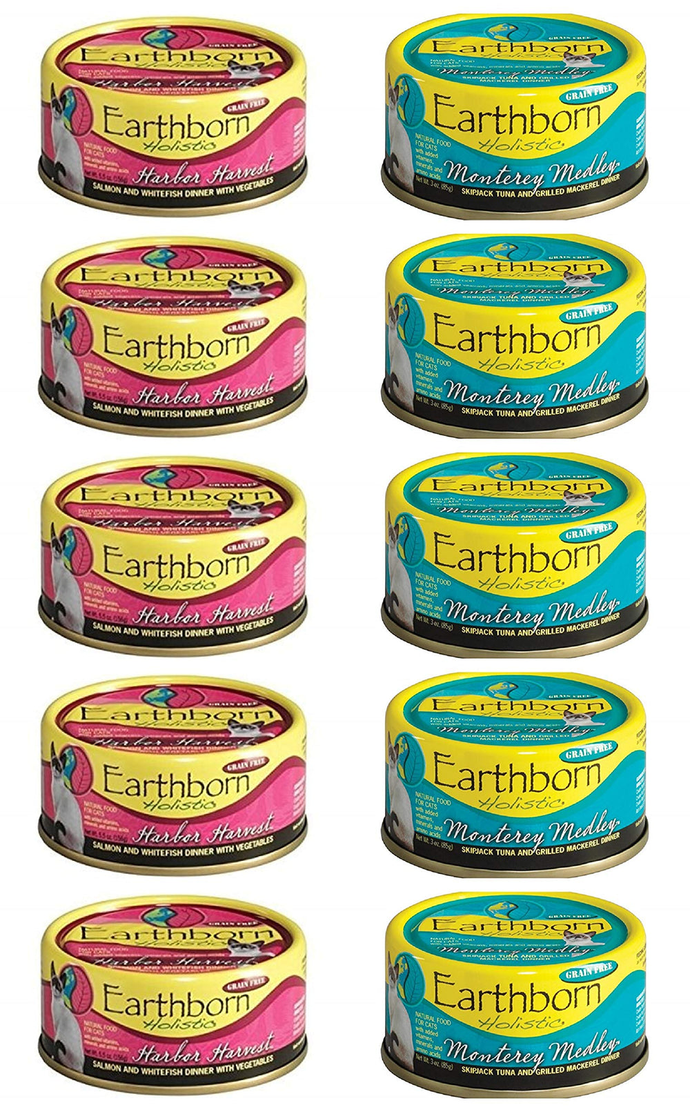 Earthborn Holistic face avant de la boîte montrant l'étiquette et l'appétence