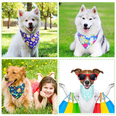 Eccliy bandana comparé à une patte de chien pour visualiser la taille