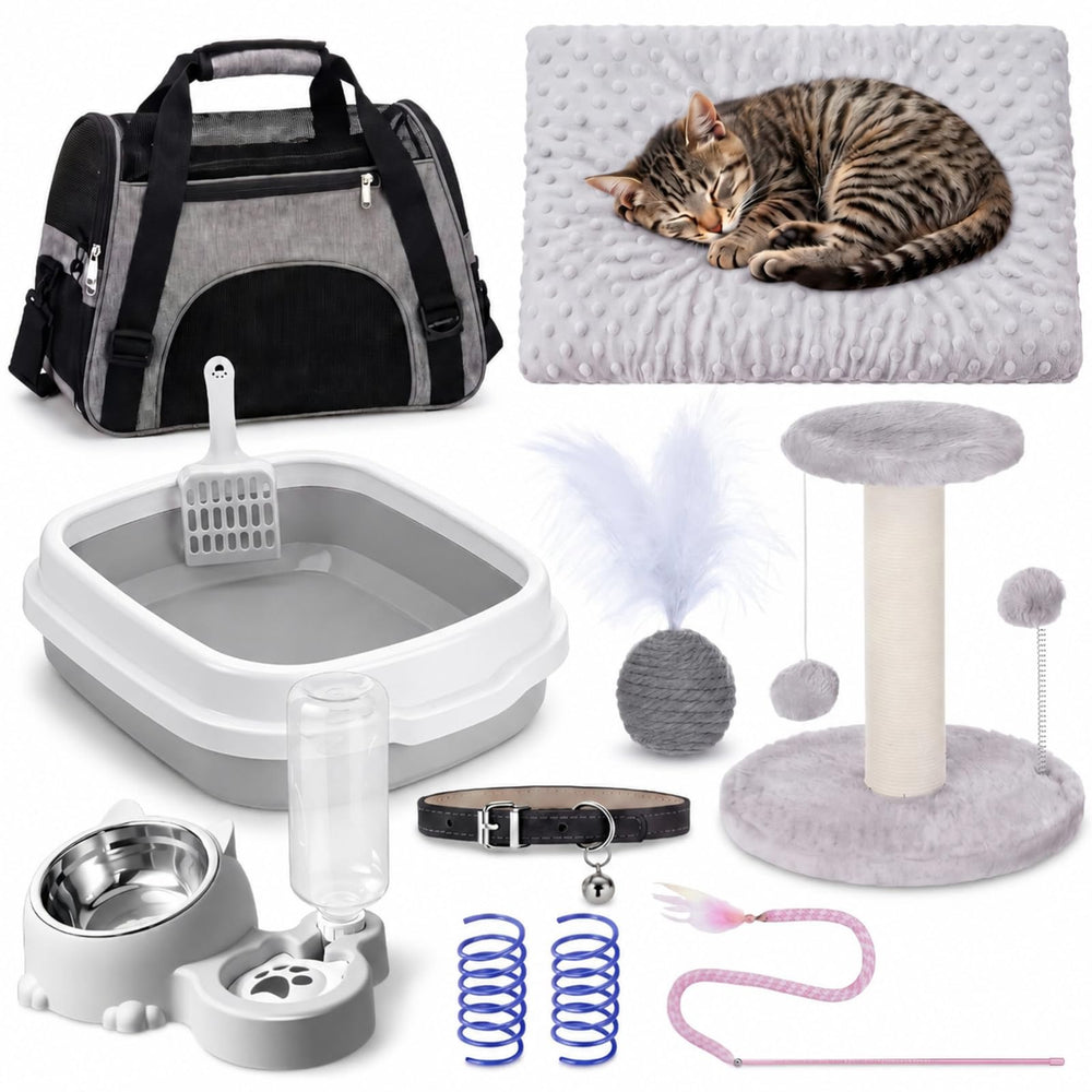 Eccliy face avant du packaging montrant contenu complet pour accueil chaton