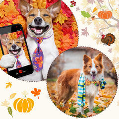 Chien petit portant un nœud Eccliy ajustable, montre facilité d'utilisation et look festif