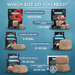 EcoBio-Block texture poreuse en gros plan, montre absorption améliorée