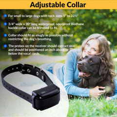 Educator BP-504 collier porté sur chien démontrant correction contrôlée