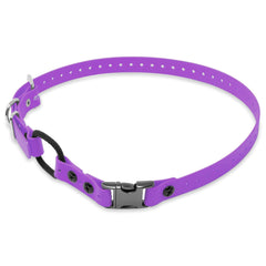 Educator collier face avant montrant design violet et fermeture rapide, durable