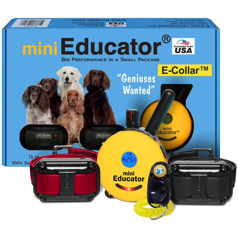 Educator ET-302 vue avant du collier montrant design robuste et ergonomie