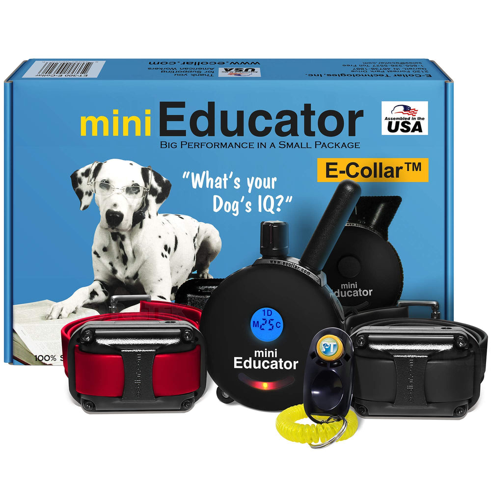 Educator ET-302 face avant montrant télécommande et collier, contrôle précis