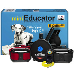 Educator ET-302 face avant montrant télécommande et collier, contrôle précis