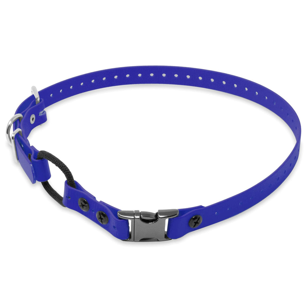 Educator image avant du collier Quick Snap montrant la sangle bleue et la boucle — remplaçant durable